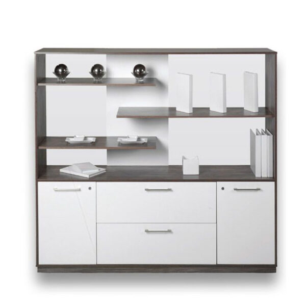 Evolution Wall Unit 1